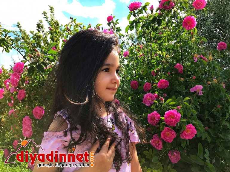 Renkleriyle doğayı canlandıran çiçekler göz kamaştırıyor4