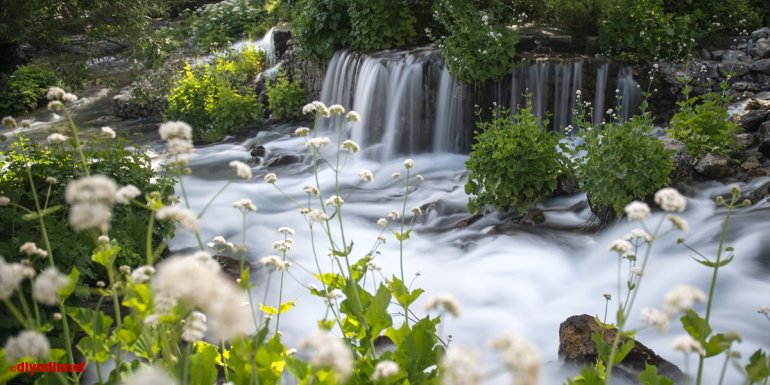"Munzur Gözeleri" kontrollü normalleşmeyle yeniden doğa tutkunlarının gözde adresi oldu