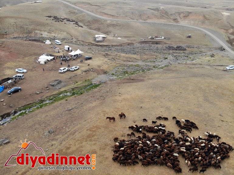 desteğiyle Valisi çiftçileri AĞRI sahibi etti olan koyun - Varol, ziyaret Ağrı devlet yaylada 15