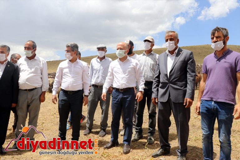 olan çiftçileri yaylada sahibi desteğiyle etti Varol, Valisi - AĞRI ziyaret devlet koyun Ağrı 5