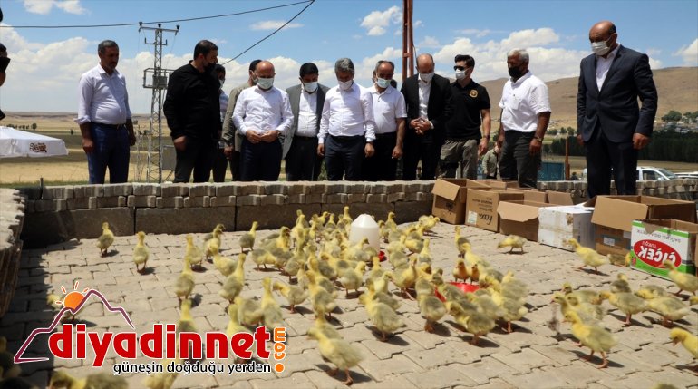 aldıkları devlet üretmenin sevincini AĞRI - Çiftçiler yaşıyor ekipmanlarla desteğiyle kaz 2