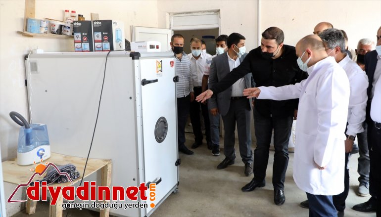 yaşıyor kaz AĞRI üretmenin Çiftçiler sevincini devlet aldıkları desteğiyle ekipmanlarla - 3