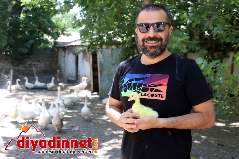 üretmenin devlet aldıkları yaşıyor sevincini AĞRI kaz desteğiyle ekipmanlarla - Çiftçiler 4