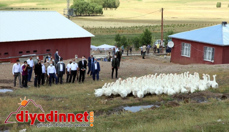 Ağrılı çiftçiler devlet desteğiyle aldıkları ekipmanlarla kaz üretmenin sevincini yaşıyor