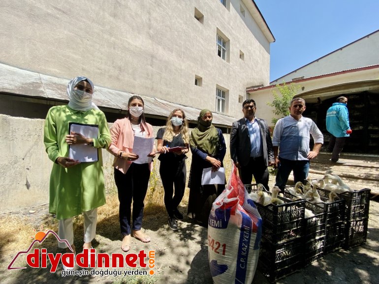 Ağrı da kaz desteği ile kadınlara iş imkanı4