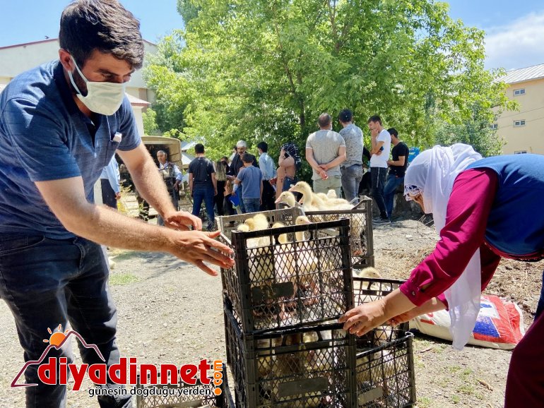 Ağrı da kaz desteği ile kadınlara iş imkanı5