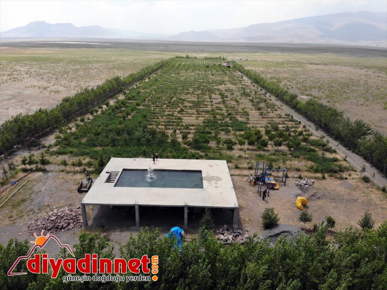 dönüştürdü vahaya Ağrı Dağı eteklerindeki araziyi çorak meyve ağaçlarıyla 5