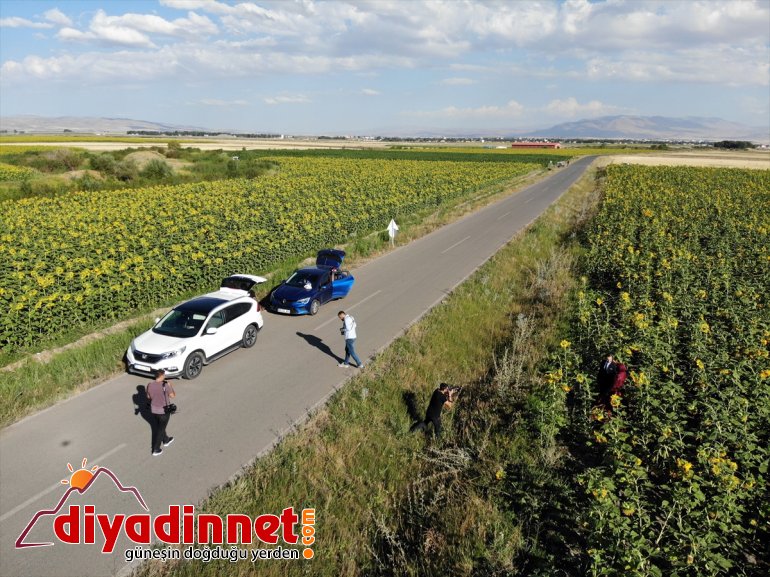 damatların gelin ve renk Ağrı