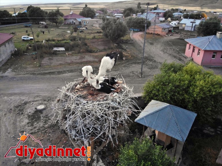 yapan denemeleri hazırlanıyor uçma Kanat leylekler, yavru - yolculuğuna AĞRI çırparak göç 14