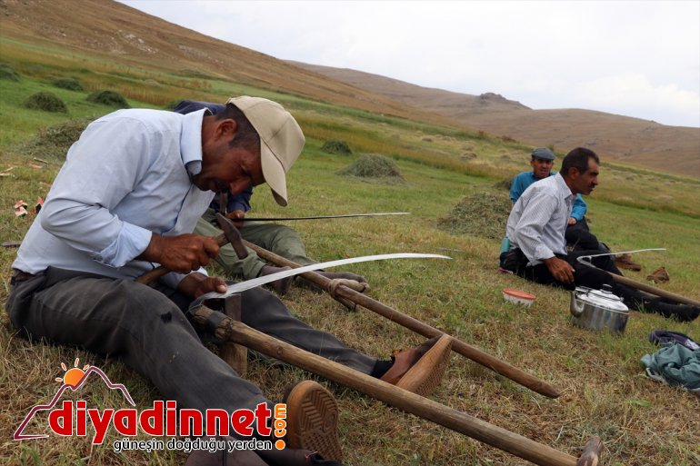 Ağrı nın dağlık köylerinde çiftçilerin asırlık tırpanlarla zorlu ot biçme mesaisi13