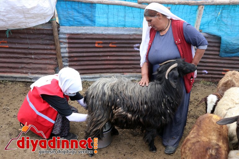 Kızılayın yaylalarındaki Ağrı çifte bayram hediyeleriyle minikler, göçer yaşadı 23