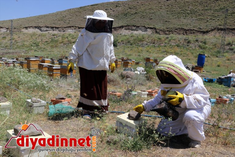 destekli) bal Karadeniz