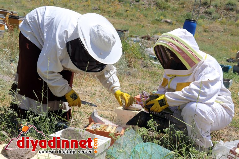 kadınları Karadeniz