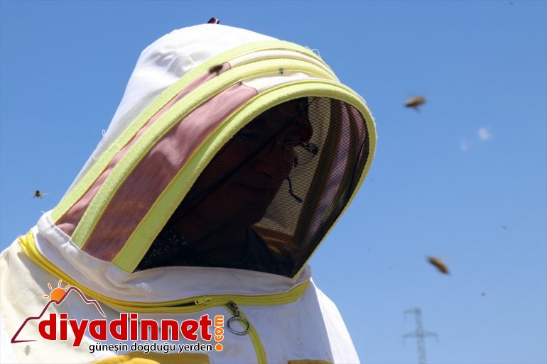 kadınları mesaisinde Ağrı zorlu destekli) yaylalarında bal Karadeniz