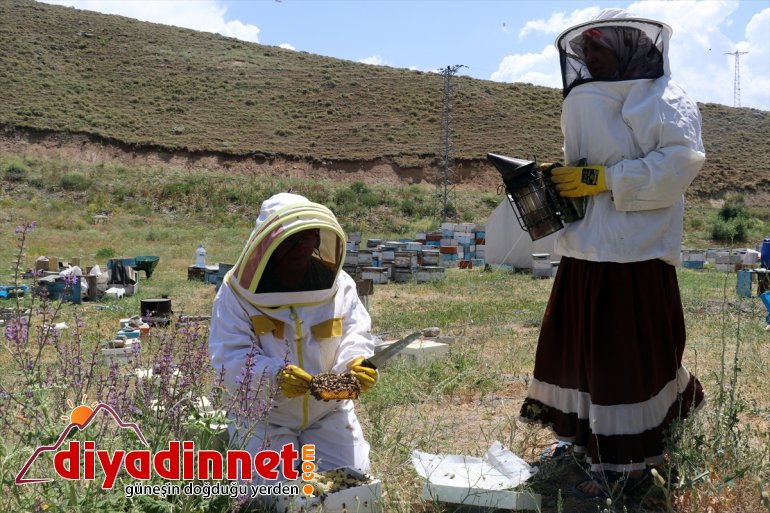 mesaisinde çalışkan bal kadınları Karadeniz