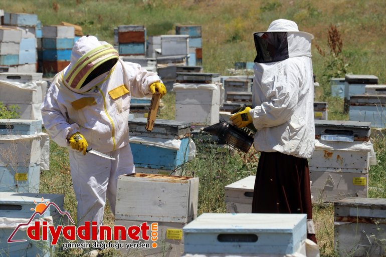 zorlu mesaisinde yaylalarında Karadeniz