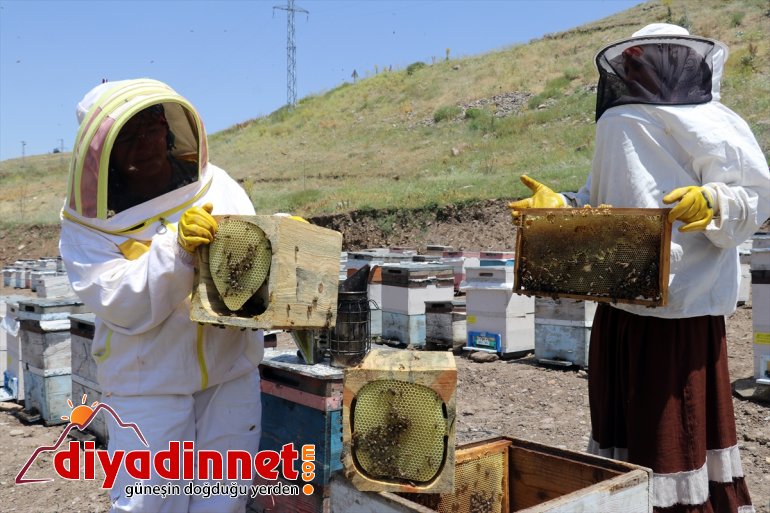 mesaisinde destekli) Ağrı (Drone yaylalarında kadınları Karadeniz