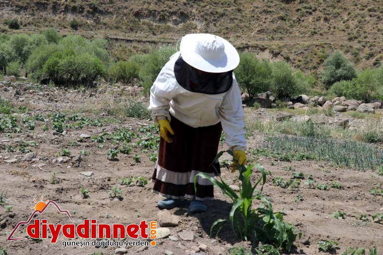 çalışkan Karadeniz