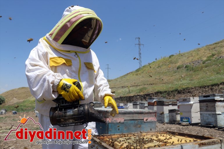 mesaisinde destekli) kadınları zorlu Karadeniz