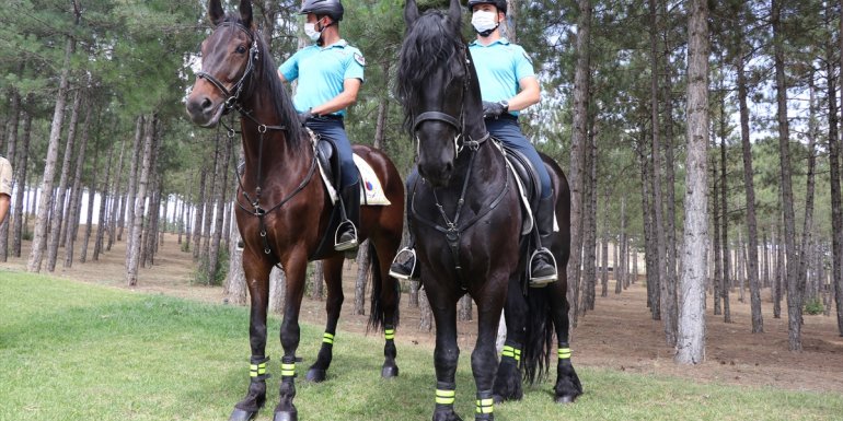 Elazığ'da atlı jandarma timi göreve başladı