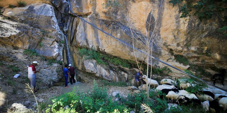 Besiciler sıcaktan etkilenen küçükbaş hayvanlarını şelalede serinletiyor