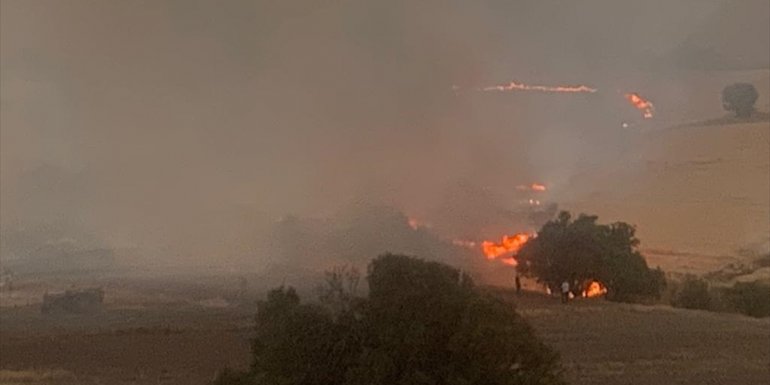 Elazığ'da çıkan yangında 60 dönüm alan zarar gördü