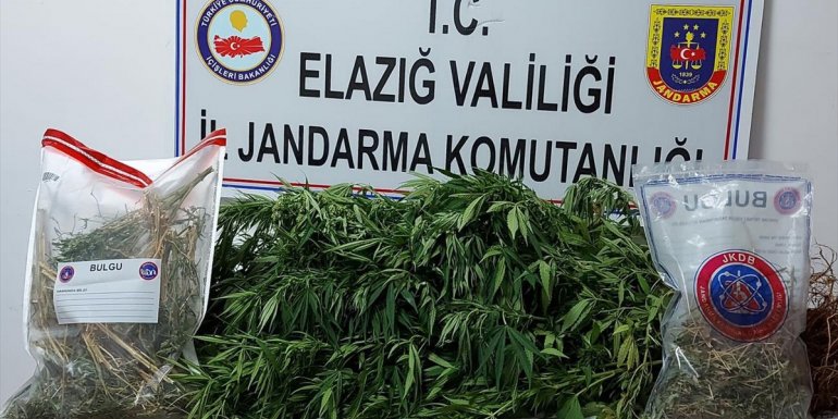 Elazığ'da evinin bahçesinde Hint keneviri yetiştirdiği iddia edilen şüpheli yakalandı