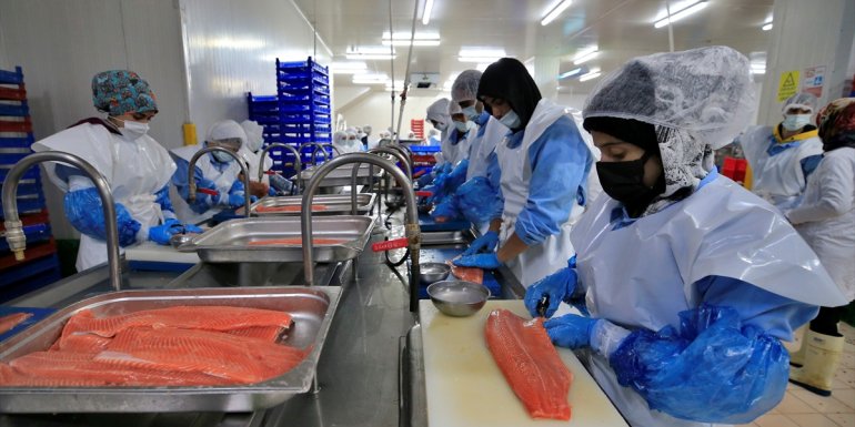 Elazığ'da yetiştirilen alabalık ve Türk somonu, lezzetiyle 30 ülkeden talep görüyor