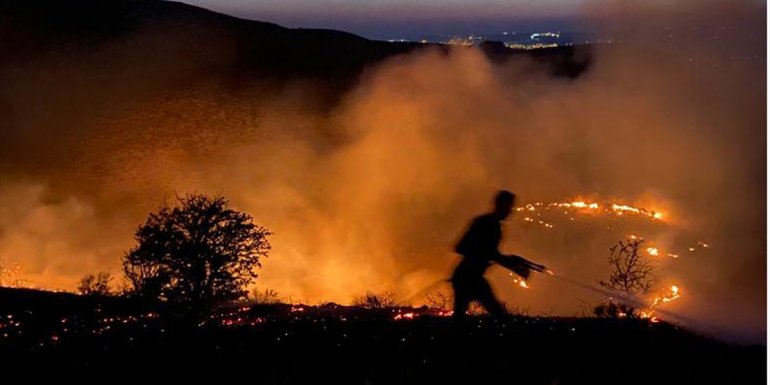 Elazığ'da çıkan örtü yangını söndürüldü