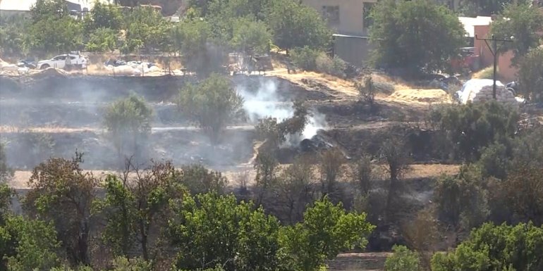 Elazığ'da yangın nedeniyle buğday tarlası, meyve ağaçları ve üzüm bağları zarar gördü