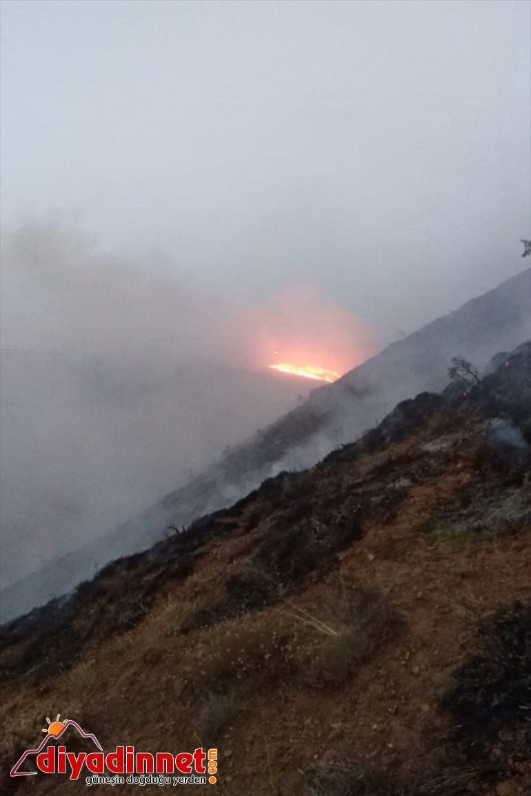 örtü çıkan alındı Elazığ