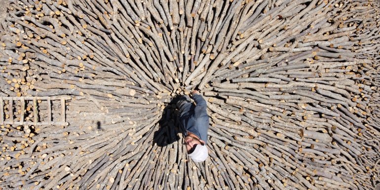 Alın terine kömür karası karışanlar: "Mangal kömürü işçileri"