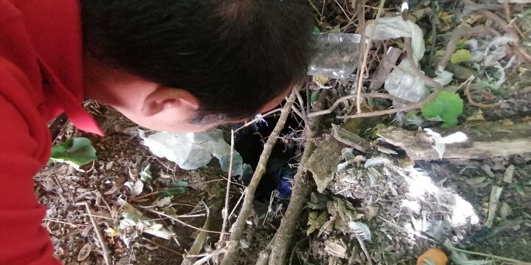 Erzincan'da itfaiye ekipleri boş kuyuya düşen yavru köpekler için seferber oldu