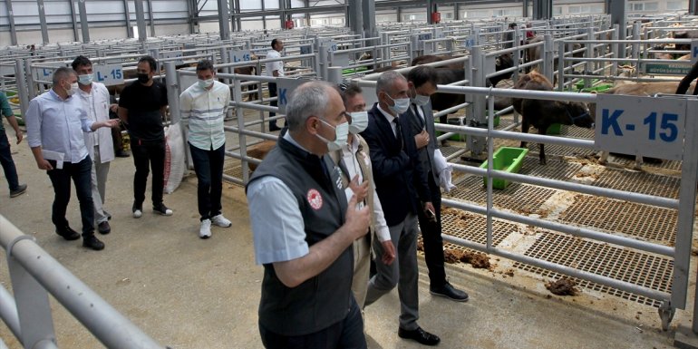 Besiciliğin merkezi Erzurum'dan batıdaki kentlere 55-60 bin kurbanlık gönderilecek
