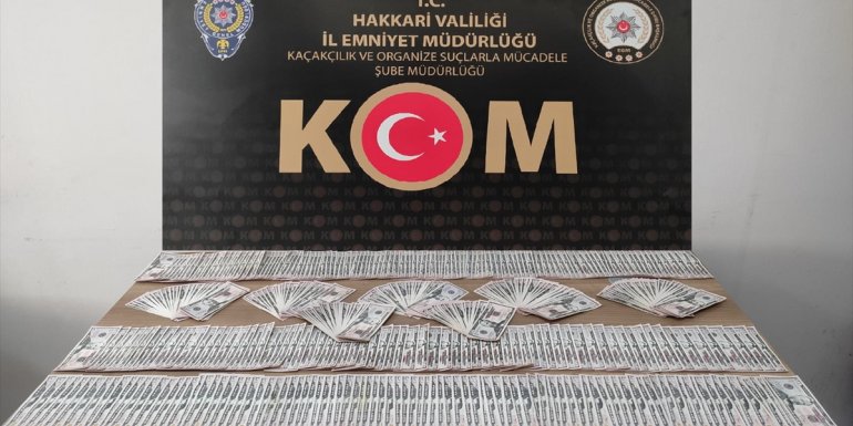 Hakkari'de sahte 48 bin 100 dolar ele geçirildi