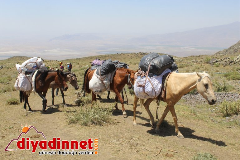 tırmanış köylüler, Dağı Ağrı turizmini eteklerinde lojistik destekle dönüştürdü - kazanca IĞDIR 3