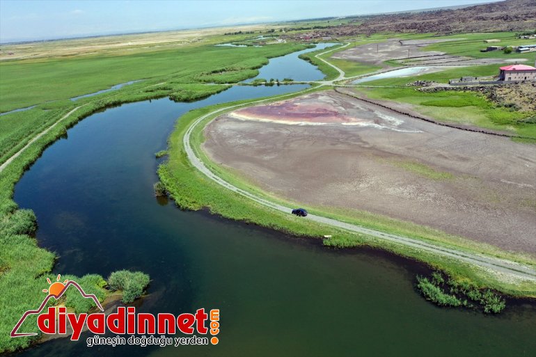 oluyor Ağrı oluşan alanlar buzulların sulak yaban kuşlarına - hayat Dağı