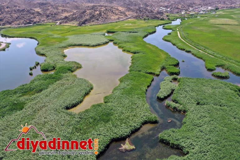 IĞDIR buzulların Dağı