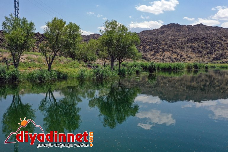 IĞDIR hayat - Dağı