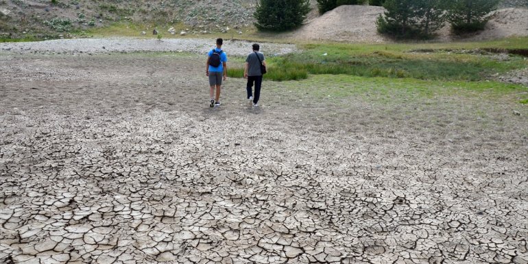 Kars'ta kuraklık yaban hayatını olumsuz etkiliyor
