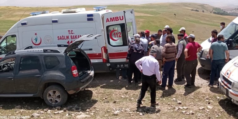 Kars'ta kestiği ağacın altında kalan kişi öldü