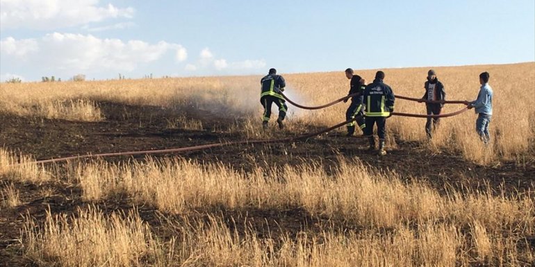 Özalp'ta buğday ekili 3 dönümlük tarlada çıkan yangın zarara neden oldu