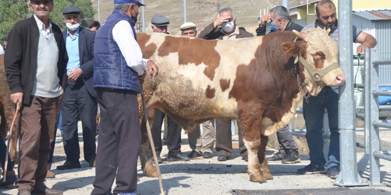 Polis ekipleri Kars'taki hayvan pazarında 'sahte para'ya karşı sıkı tedbir aldı