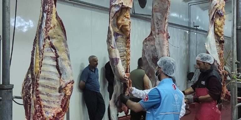 TDV, Van'da ihtiyaç sahiplerine kurban eti ulaştırdı