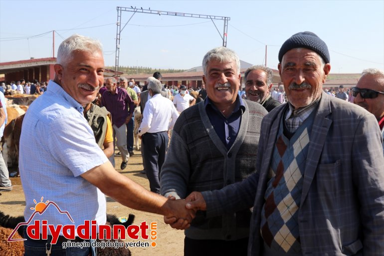 Türkiye nin hayvancılık merkezlerinden olan Ağrı daki pazarda Kurban Bayramı yoğunluğu yaşanıyor14