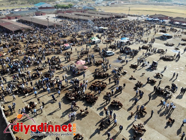 Türkiye nin hayvancılık merkezlerinden olan Ağrı daki pazarda Kurban Bayramı yoğunluğu yaşanıyor10