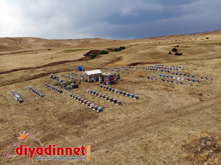 ağrı bal mesaisi2