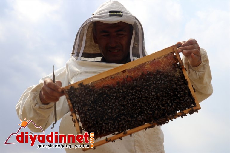 ağrı bal mesaisi3