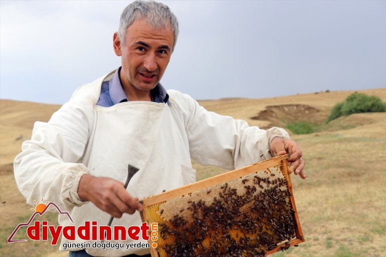 ağrı bal mesaisi4