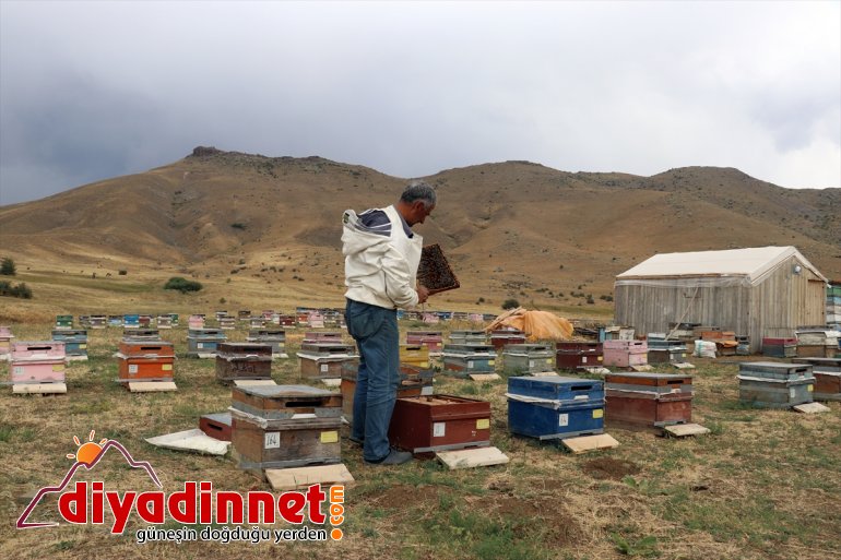ağrı bal mesaisi5